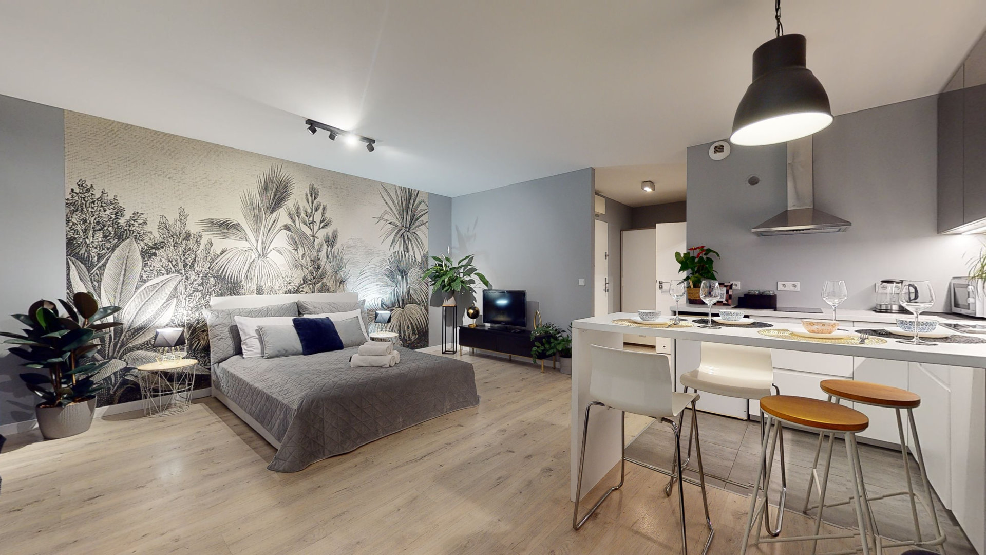 Tectum Apartments - 3